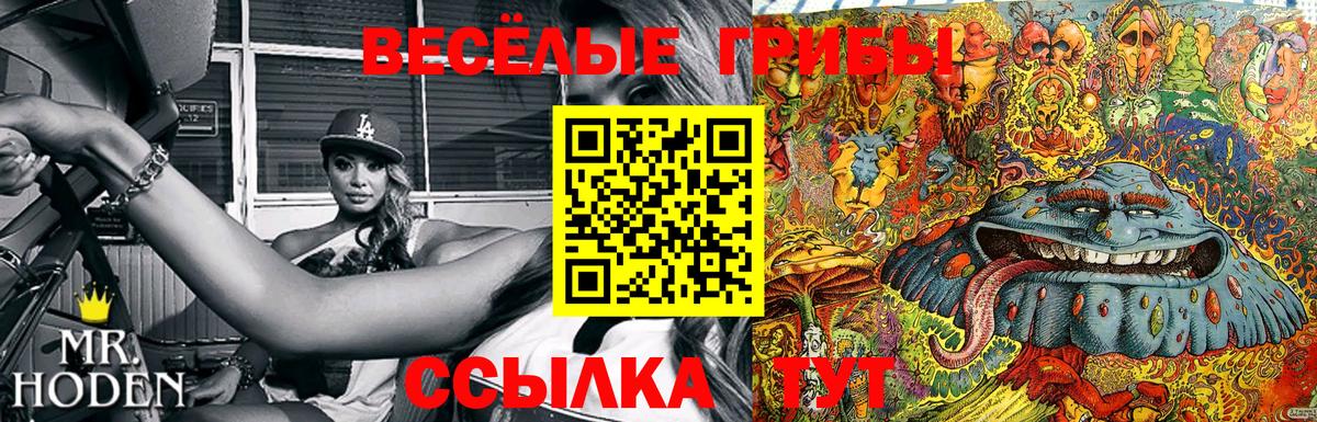 Псилоцибиновые грибы Psilocybine cubensis Острогожск